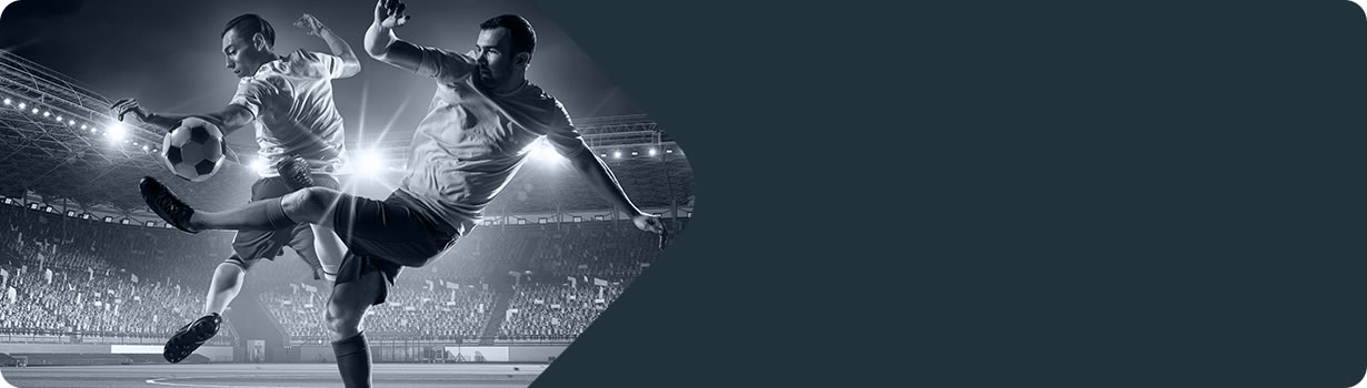 sudoku puzzles solver
